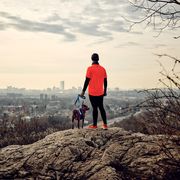 author and writer caleb daniloff and his dog, hank at the middlesex fells reservation outside of boston ma