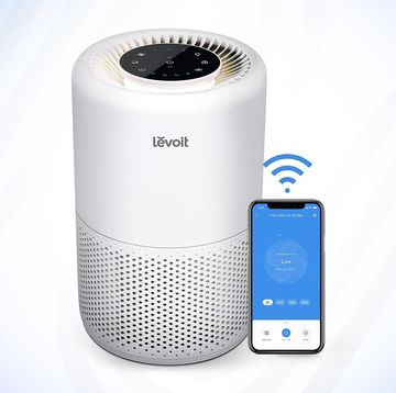 the best air purifiers for allergy sufferers