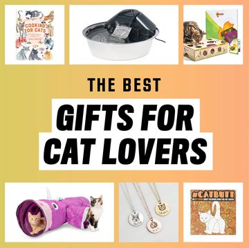 the best gifts for cat lovers