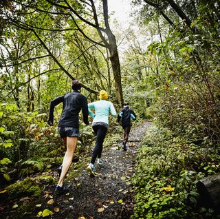 Group of female friends running up forest trail