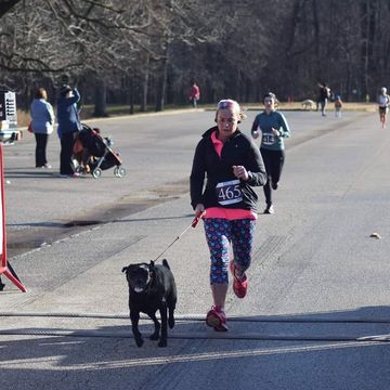 Running, Dog, Dog walking, Canidae, Leash, Cani cross, Recreation, Jogging, Sporting Group, Marathon, Running, Dog, Dog walking, Canidae, Leash, Cani cross, Recreation, Jogging, Sporting Group, Marathon,