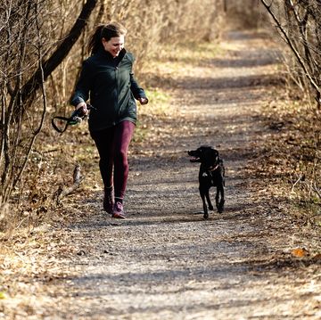 Rosie Trail Dog Rosie Trail Dog