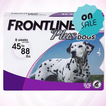 FRONTLINE Plus for Dogs Flea and Tick Treatment (Large Dog, 45-88 lbs.) frontline plus for dogs flea and tick treatment large dog, 45 to 88 lbs
