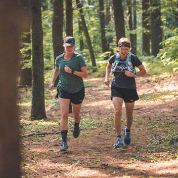 Trail, Outdoor recreation, Running, Recreation, Tree, Natural landscape, Forest, Natural environment, Wilderness, Ultramarathon, 