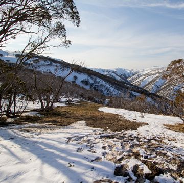 Snowy hillside in Mount Hotham in Victorian Alps snowy hillside in mount hotham in victorian alps