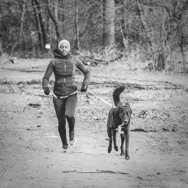 Cani cross, Recreation, Black-and-white, Running, Jogging, Sporting Group, Canidae, Photography, Monochrome, Dog walking, Cani cross, Recreation, Black-and-white, Running, Jogging, Sporting Group, Canidae, Photography, Monochrome, Dog walking,