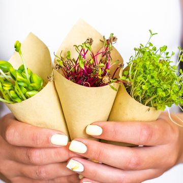 what are microgreens what are microgreens