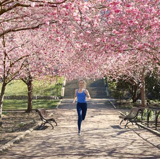 woman running under blossoming trees, how to start running again